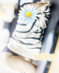 徐々に…〇〇していく